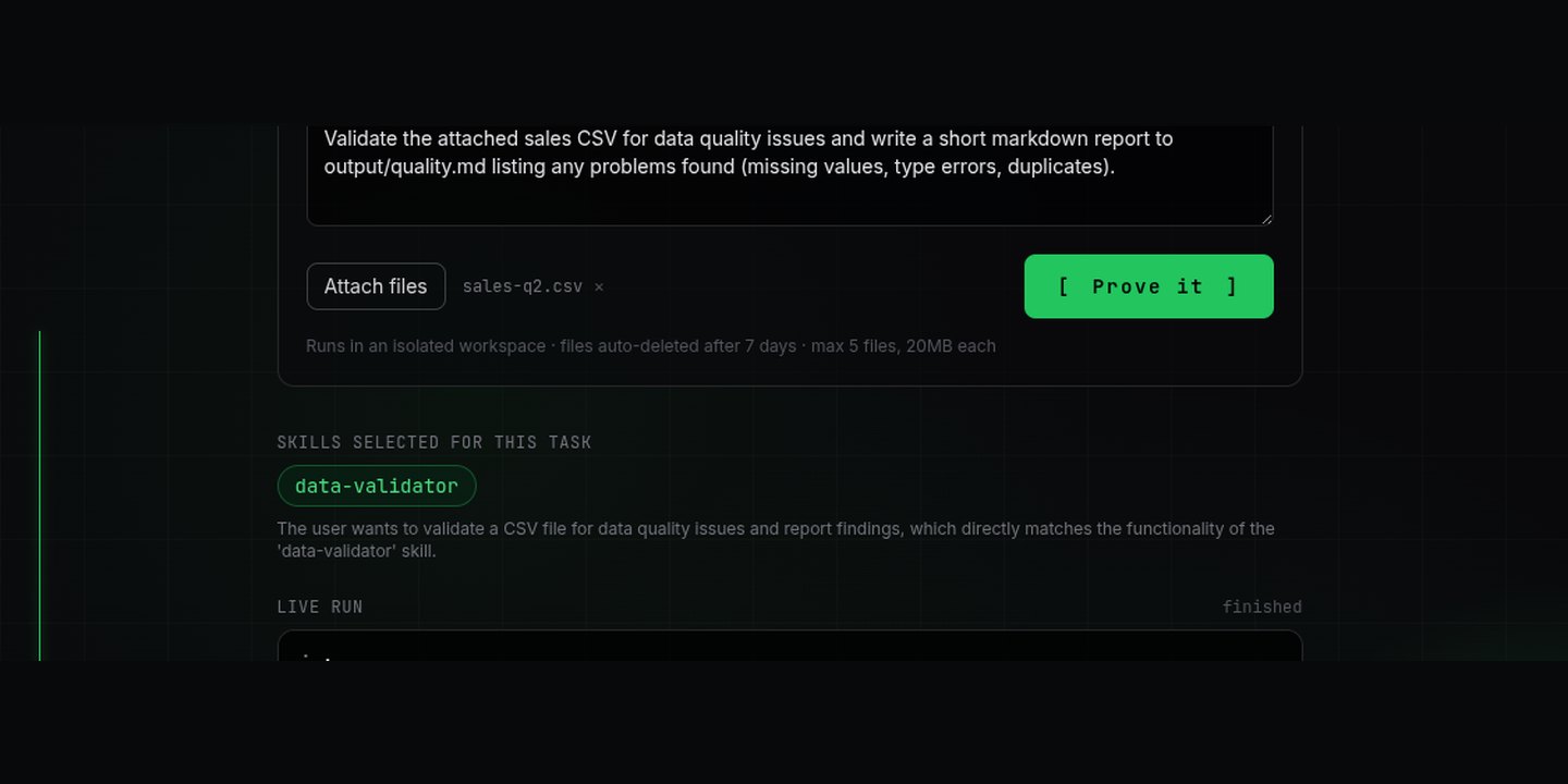 AI Skills Marketplace — product preview